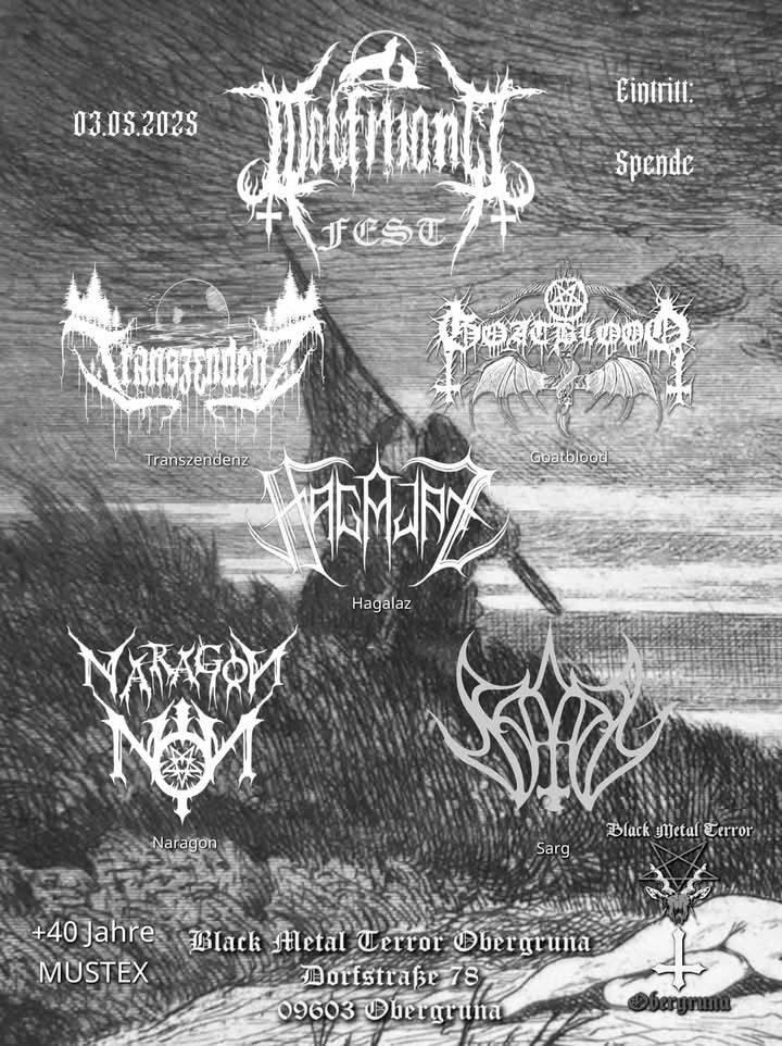 Black Metal Terror